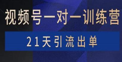 21天引流出单《视频号训练营》带货，涨粉，直播，游戏，四大变现新方向