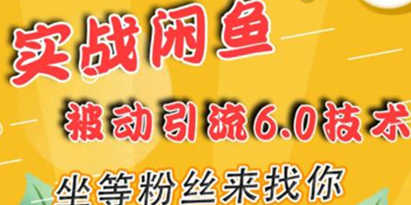 闲鱼被动引流技术6.0，坐等粉丝来找你，实战培训课程视频