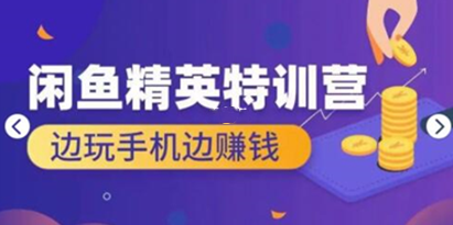 翼牛学堂 闲鱼项目精英特训营培训视频，月光族上班族的闲鱼赚钱课程