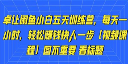 卓让《闲鱼项目小白五天训练营》每天一小时，轻松赚钱快人一步