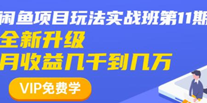 闲鱼怎么做赚钱？龟课-闲鱼项目玩法实战班，教程视频第11期