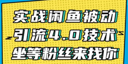 闲鱼被动引流技术4.0，日加精准粉200+实战培训课程视频