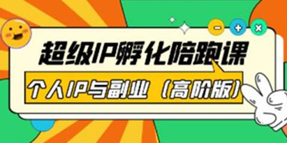 《超级IP孵化陪跑课》个人IP与副业（高阶版）