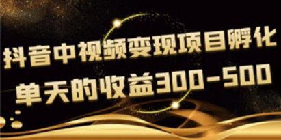 黄岛主《抖音中视频变现项目孵化》单天的收益300-500 操作简单粗暴