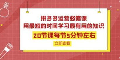 《拼多多运营必修课》用最短的时间学习最有用的知识