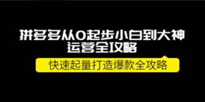 《拼多多从0起步小白到大神运营全攻略》快速起量打造10W+爆款全攻略