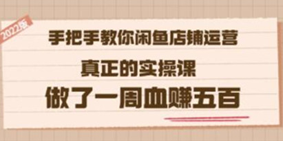 《手把手教你闲鱼店铺运营》真正的实操课，做了一周血赚五百