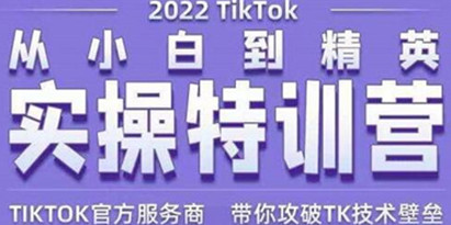 Seven漆《Tiktok从小白到精英实操特训营》带你掌握Tiktok账号运营