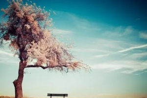 运费险项目还能做吗?揭秘全新玩法