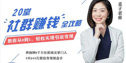 麦子《20堂社群运营赚钱攻略》即学即用的全体系社群掘金大课