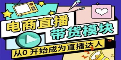 大鹏《电商直播带货培训视频》教你系统学习直播带货各环节技巧和套路