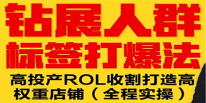 逐鹿《淘宝钻展人群标签打爆法》高投产ROL收割打造高权重店铺(全程实操)