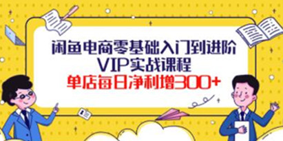 《闲鱼电商零基础入门到进阶》VIP实战课程，单店每日净利增300+