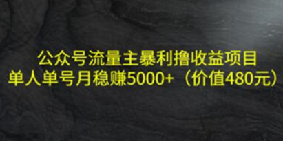 《公众号流量主暴利撸收益项目》单人单号月稳赚5000+