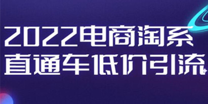 电商淘系《直通车低价引流》视频教程