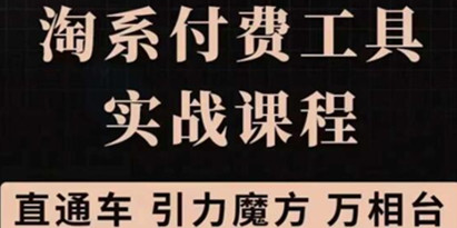 《淘系付费工具实战课程》直通车、引力魔方战略优化教程视频