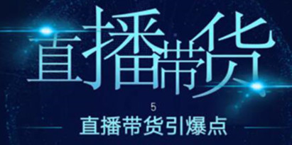 王通《直播带货引爆点》培训视频，新手直播带货年赚100万