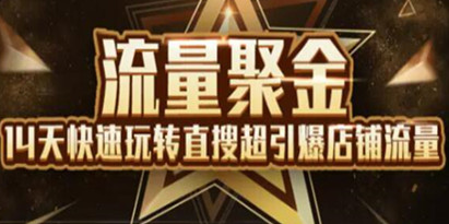 淘宝大学：流量聚金14天快速玩转直搜，超引爆店铺流量，价值8800元