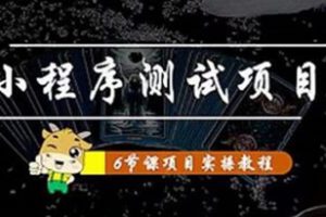 《小程序测试项目》从星图 搞笑 网易云 实拍 单品爆破 抖音抖推猫小程序变现