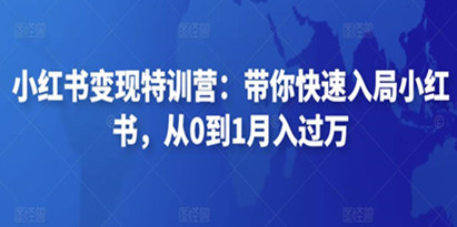 小红书变现特训营：带你快速入局小红书，从0到1月入过万