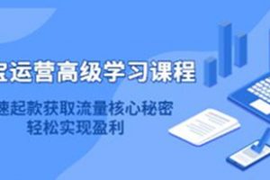 《淘宝运营高级学习课程》快速获取流量核心秘密，轻松实现盈利！