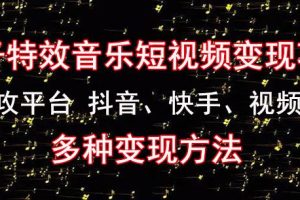 黄岛主《粒子特效音乐短视频变现项目》主攻平台抖音、快手、视频号多种变现方法