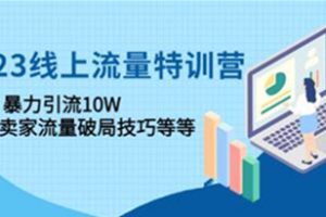 《线上流量特训营》暴力引流10W+中小卖家流量破局技巧等等