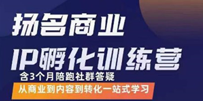 王扬名·商业IP孵化训练营，从商业到内容到转化一站式学习