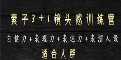 素子表现力训练营,打造个人魅力ip,提高自信力、表现力、表达力、表演人设