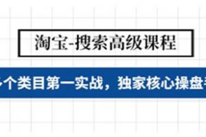 《淘宝搜索高级课程》多个类目第一实战，独家核心操盘手法