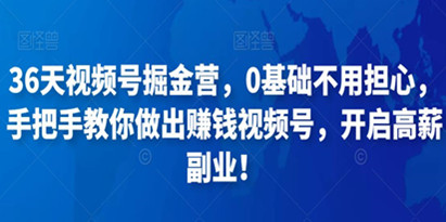 36天视频号掘金营，0基础不用担心，手把手教你做出赚钱视频号，开启高薪副业！