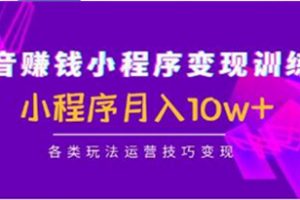 《抖音赚钱小程序变现训练营》小程序月入10w+各类玩法运营技巧变现