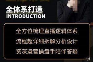 七玥·零基础电商教学，运营型主播直播带货全体系打造，全方位梳理直播逻辑