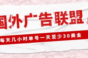 价值1980的最新国外LEAD广告联盟搬砖副业项目，单号一天至少30美金【详细玩法教程】