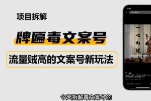 2023抖音快手短视频毒文案新玩法教程，牌匾文案号，起号快易变现