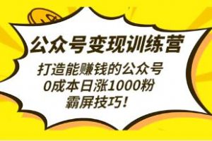 《公众号变现训练营第3期》打造能赚钱的公众号，0成本日涨1000粉，霸屏技巧