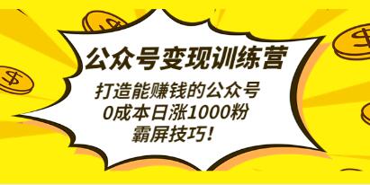 《公众号变现训练营第3期》打造能赚钱的公众号，0成本日涨1000粉，霸屏技巧