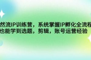 瑶瑶《自然流IP孵化教程》系统掌握IP孵化全流程，选题，剪辑，账号运营经验
