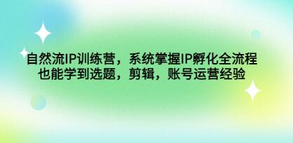 瑶瑶《自然流IP孵化》系统掌握IP孵化全流程，选题，剪辑，账号运营经验