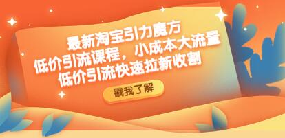 《淘宝引力魔方低价引流实操》小成本大流量，低价引流快速拉新收割