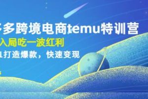 《拼多多跨境电商temu特训营》教程，从0到1打造爆款，快速变现