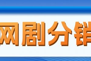 《网剧分销项目》新蓝海项目，月入过万很轻松