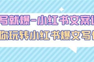 一写就爆-小红书文案课：带你玩转小红收爆文写作（45节课）