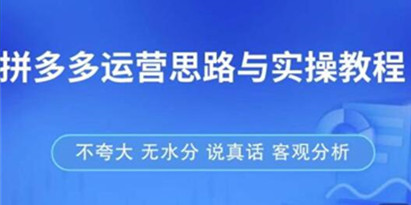 《拼多多店铺运营实操教程》快速学会拼多多开店和运营，少踩坑，多盈利