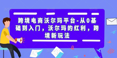 《跨境电商沃尔玛平台》跨境新玩法，从0基础到入门