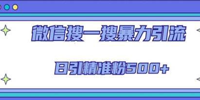 微信搜一搜引流全系列课程，日引精准粉500+