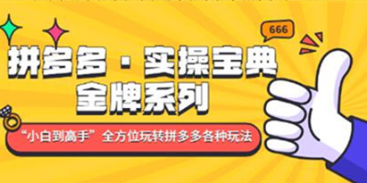 《拼多多实操宝典》金牌系列“小白到高手”带你全方位玩转拼多多各种玩法