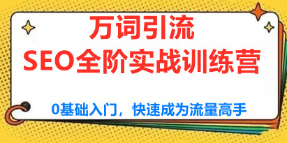 《许茹冰·万词引流-SEO全阶实战训练营》0基础入门，快速成为流量高手