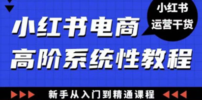 《小红书电商高阶系统教程》新手从入门到精通系统课