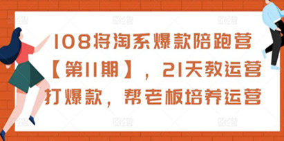 【108将淘系爆款陪跑营第11期】,21天电商教运营打爆款,帮老板培养运营